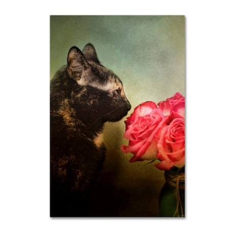 Jai Johnson 'Stop And Smell The Flowers' Canvas Art,12x19